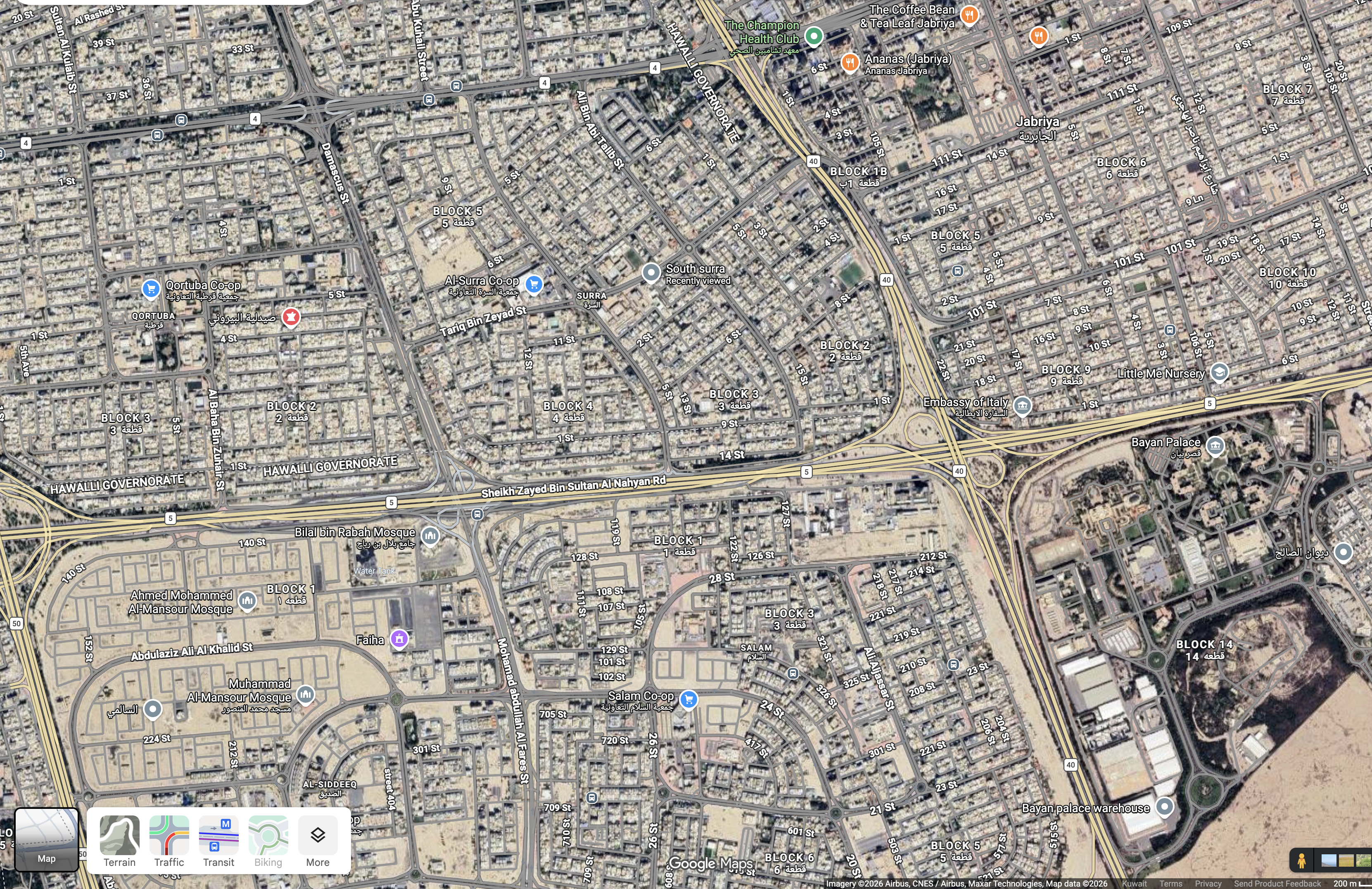 User-supplied location reference. Used as a visual anchor for human review.